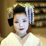Portrait of maiko in May