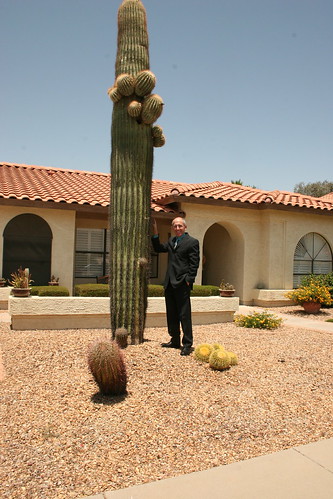 Saguaro Cactus.JPG