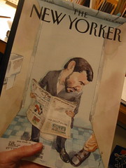 blitt's NY cover