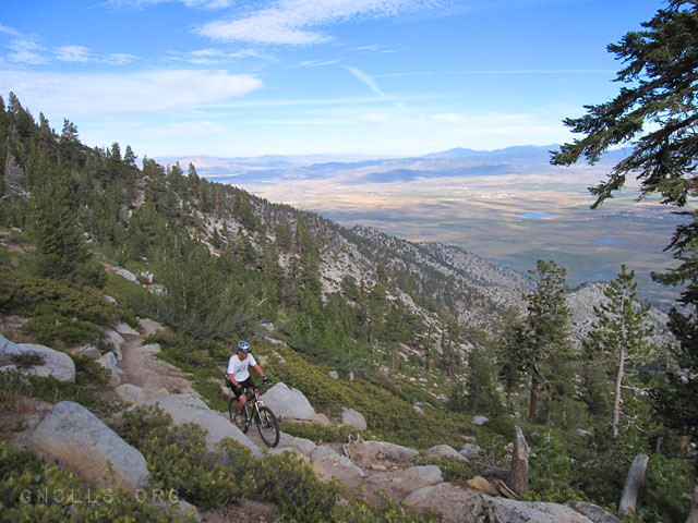 Tahoe Rim Trail overlooking the Carson Valley