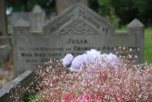 Julia's Arrangement of Flowers