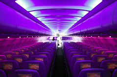 Purple plane