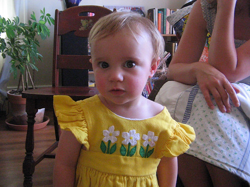 lily, my niece to be