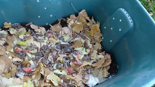 compost bin with food bits