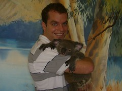 Holding A Koala