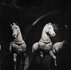 Due Cavalli