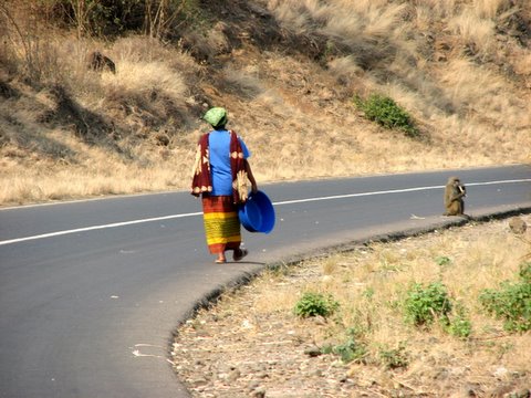 swahili lady and occasional baboon