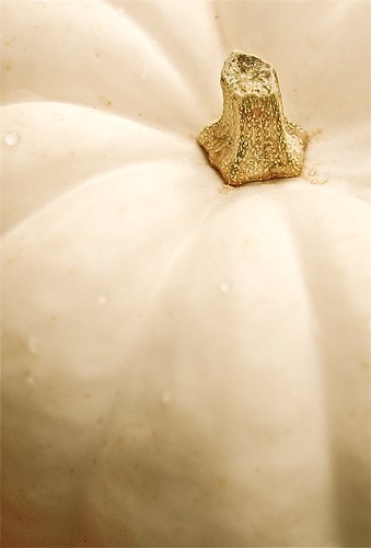 Pumpkin detail