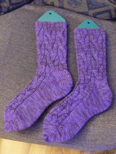 Purple prize socks pic2