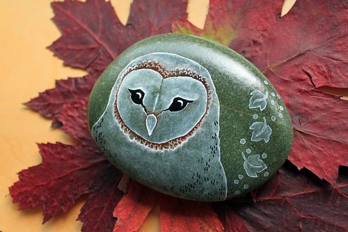 Stone Barn Owl2