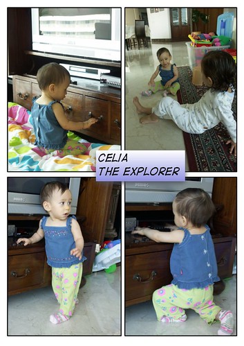 the explorer