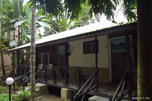 Hotel Jungle Lodge (Chitwan)
