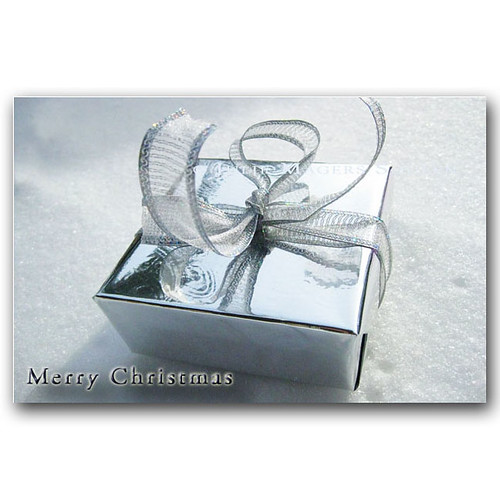 Silver Present Holiday Card