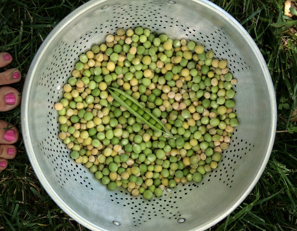 peas, shelled