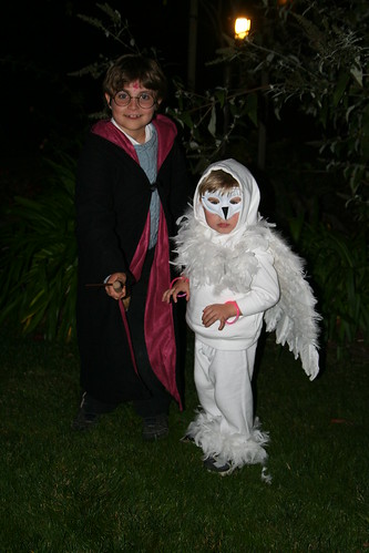 Harry Potter and Hedwig the Owl