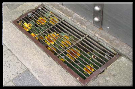 Guerilla Gardening - Subverting Urban Ecologies