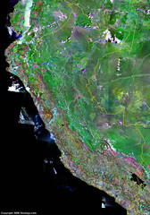 satellite image of Peru
