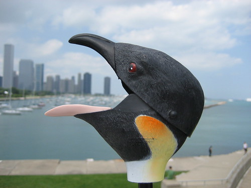 Penguin Eats Chicago