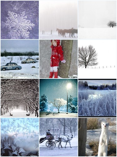 winter - inspiration