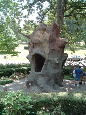 stone tree