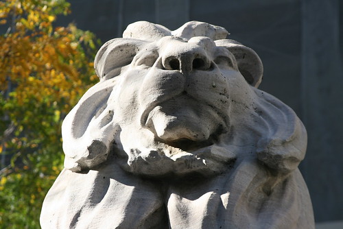NYC Public Library Lion