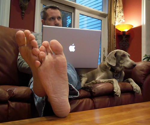 161 | 365 | Feet and Paws by DavidNewEngland