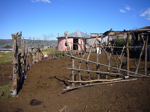 Homestead with enclosure for livestocks