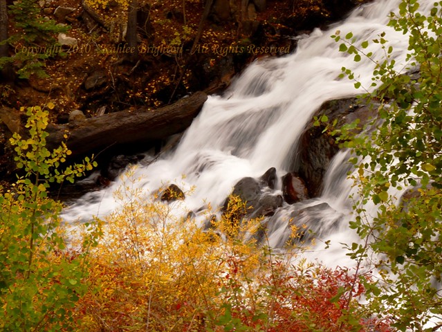 Autumn Cascade 2010