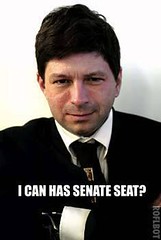 I Can Has senate
