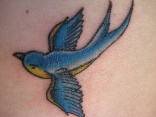 A lovely little blue sparrow tattoo Nice