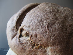 Velvety Buckwheat Bread