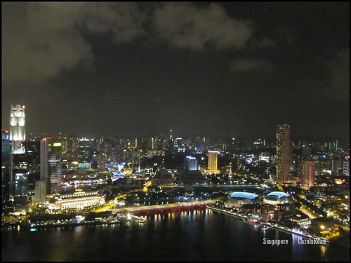 2010-10-31 新加坡  (194)Singapore_24