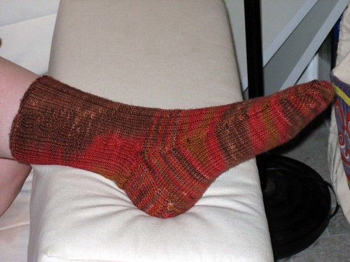 Rhode Island Red Sock