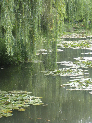 giverny June 28 2007 012