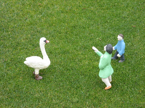Taunting a swan... with boots?