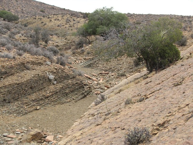 dipping strata in arroyo
