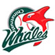 中信鯨Logo