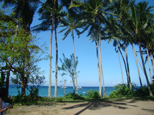 海，藍天，椰子樹
