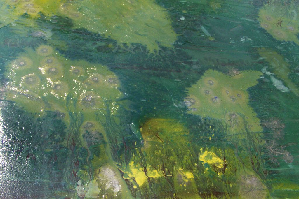 Detail of "The Calm"