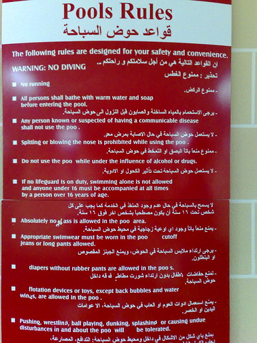 funny rules. Funny Beirut Pool Rules