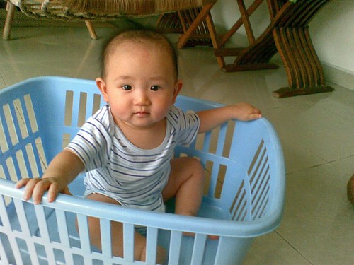 In the Laundry Basket 2