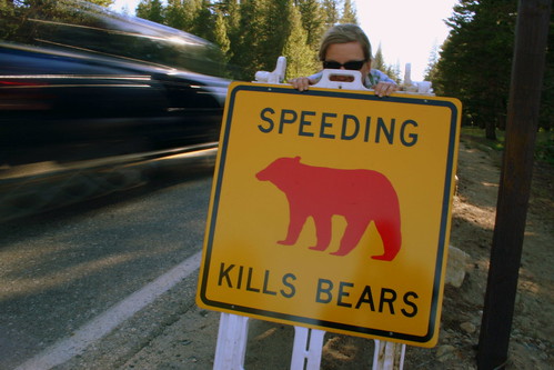 Speeding kills. Photo by Kai Schreiber