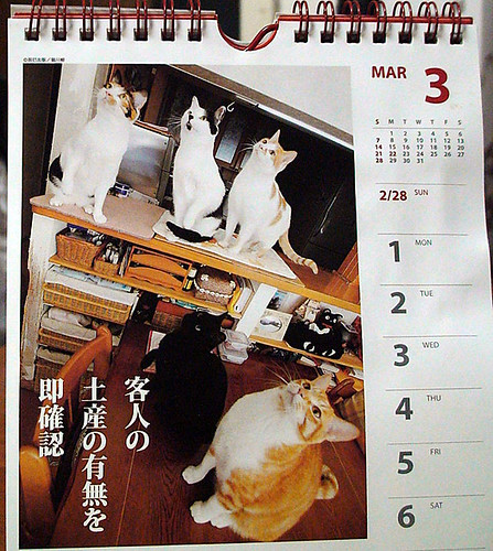 кошачий календарь