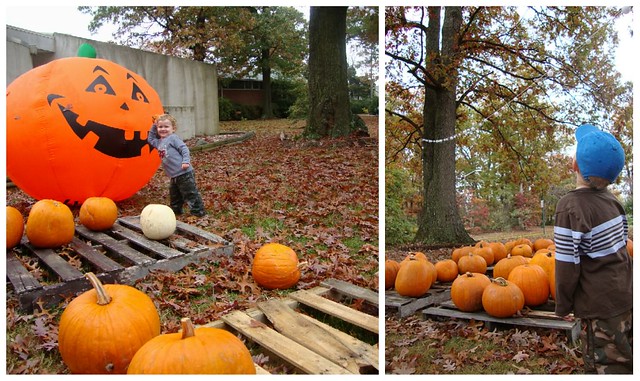 Pumpkin collage 2009_4