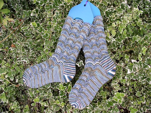 Seaside socks