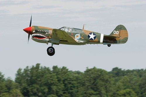 Warbird picture - Curtis P-40 Warhawk