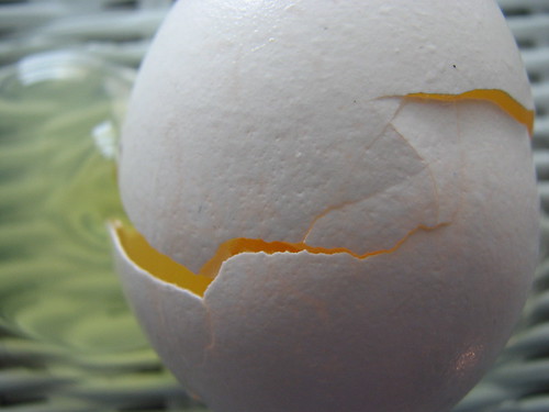 Shattered Egg