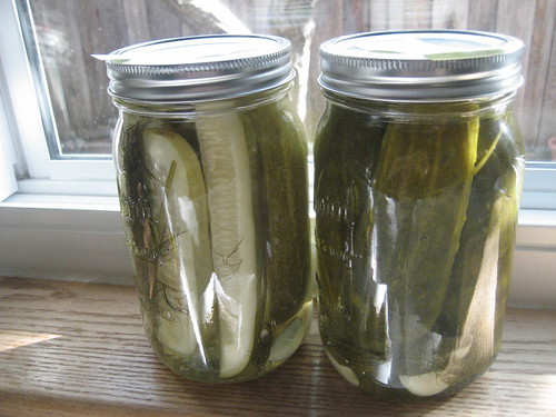 1st and 2nd batch of pickles