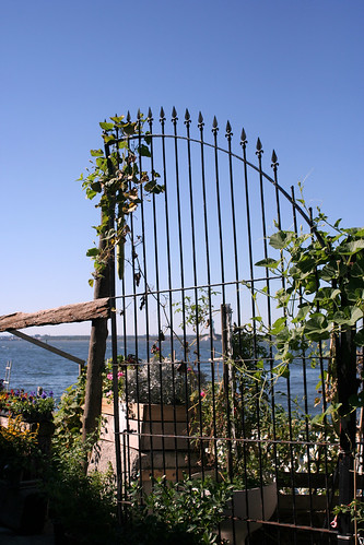 Harbor gate
