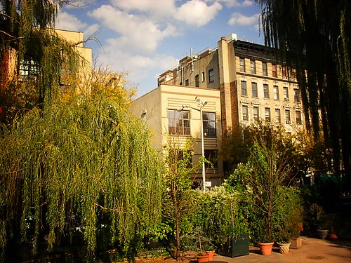La Plaza Cultural Community Garden, Alphabet City, Lower East Side 15